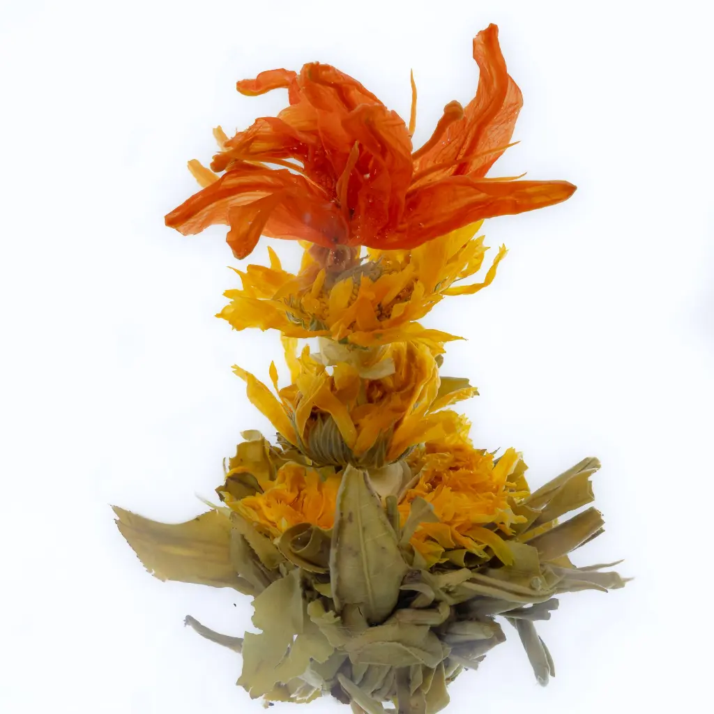 Gracefully Arise - 1-1.webp