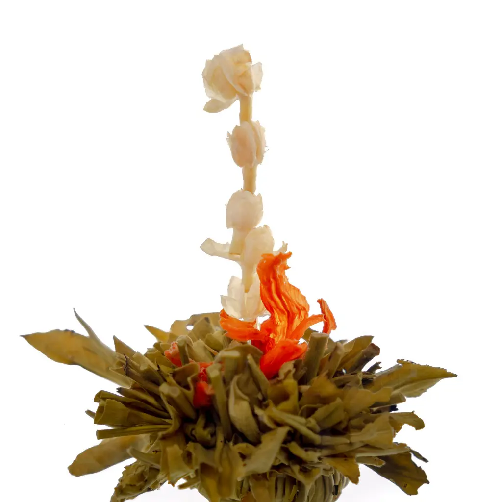 Autumn Beauty - 1-1.webp